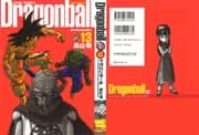 Dragon Ball Kanzenban Vol. 13