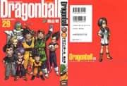 Dragon Ball Kanzenban Vol. 29